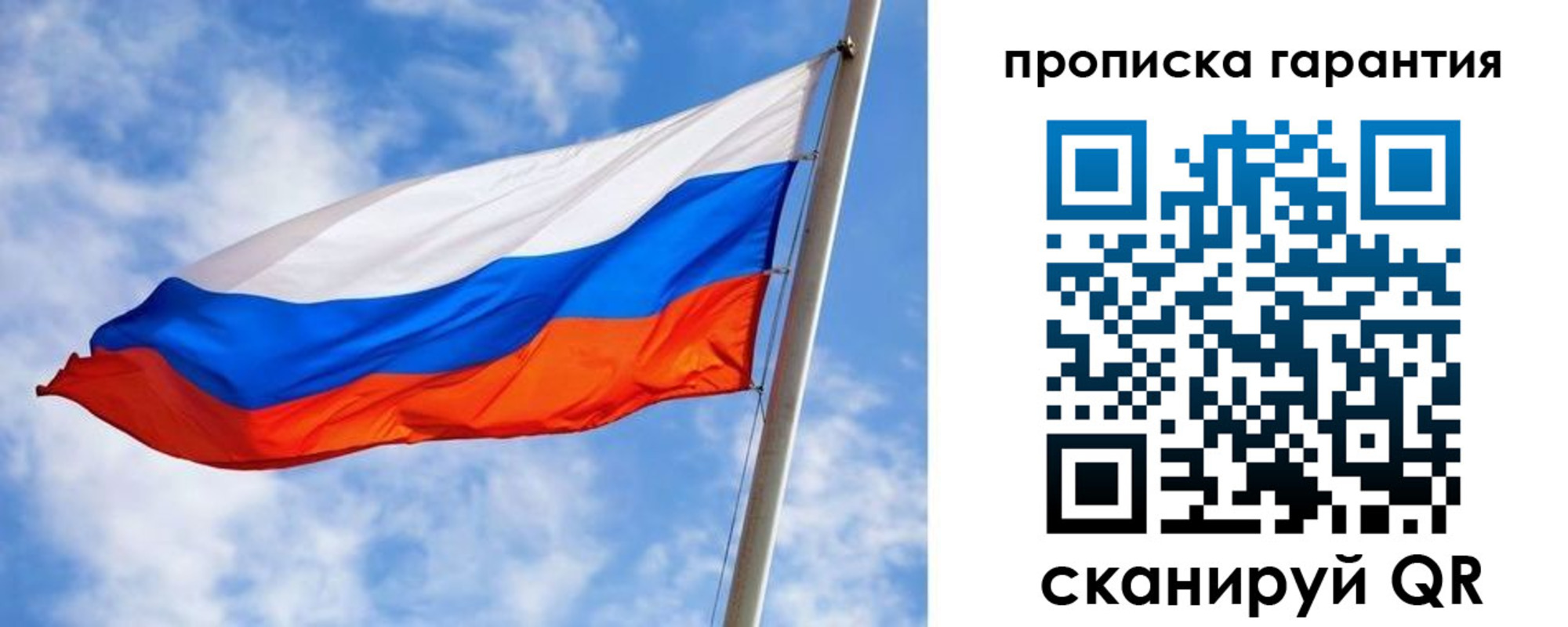 прописка гарантия в Стародубе